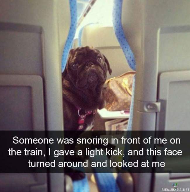 Kuorsaava matkustaja junassa