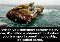 Shipment vs cargo