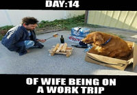 Vaimon työmatka
