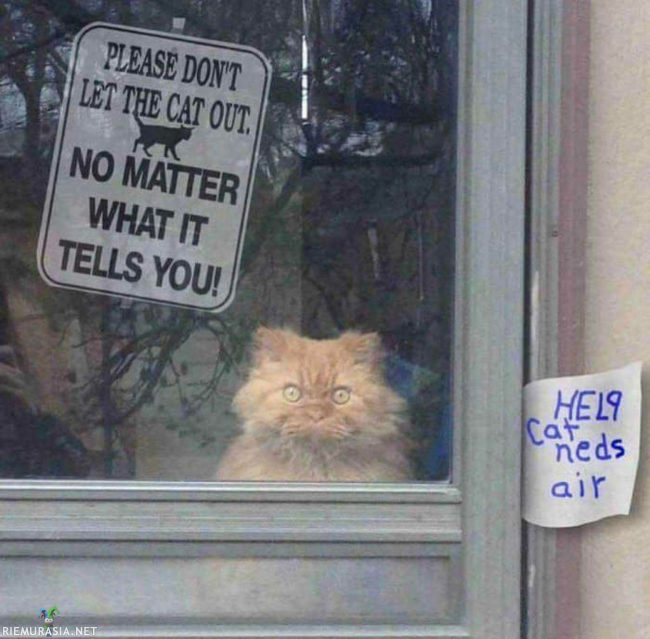 Kisse haluaa ulos. - -Mutta älä päästä sitä!