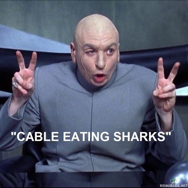 Cable eating sharks - Cable eating sharks, selkeästi hait asialla 

https://yle.fi/uutiset/3-12281623

