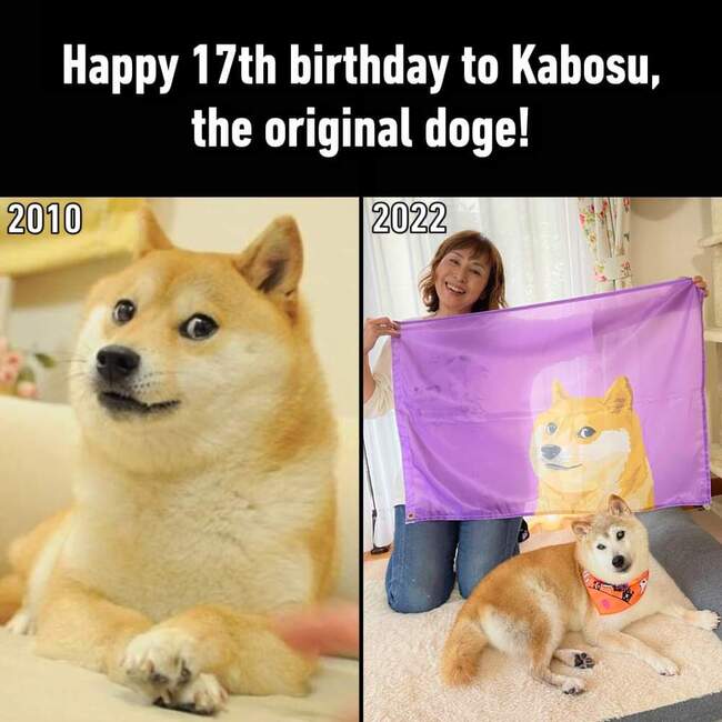 Hyvää syntymäpäivää Doge!