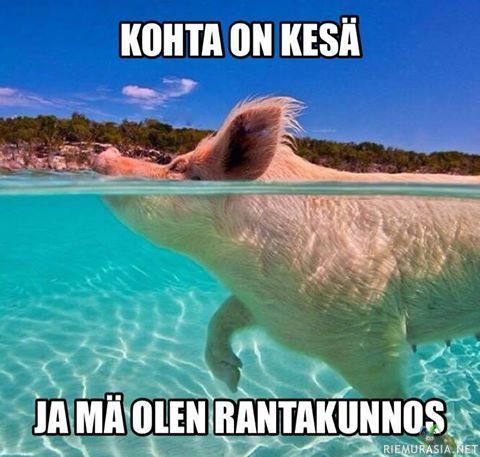 Kohta on kesä - Ja rantakunto on saavutettu