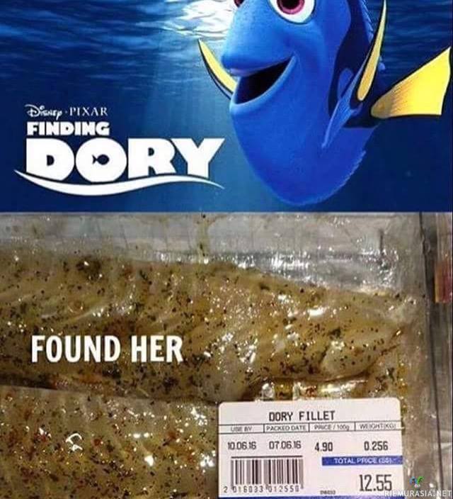 Finding Dory - Nyt se on sitten löytynyt, fileenä.