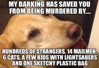 Koira on pelastanut moneen otteeseen