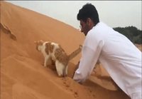 Kaivamishetki kissan kanssa