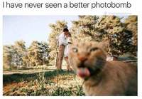 Kissan photobomb