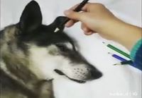 Realistisen koiran piirtäminen