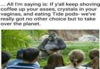 Gorillan mielipide maailman menosta