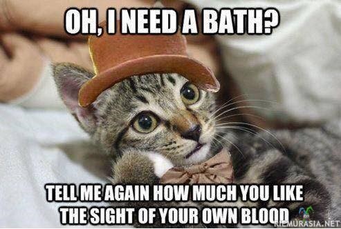 Kissan mielipide kylvystä