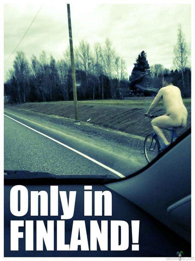 Only in Finland - Ihan normaali iltapäivä suomessa