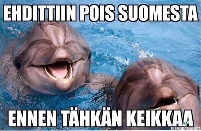 Särkänniemen delfiinit - Syytäkin hymyillä kun pääsivät pois ennen Lauri Tähkän keikkaa