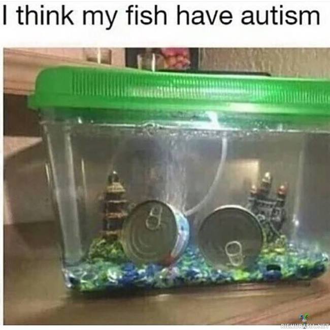 Kalat taitavat olla autistisia