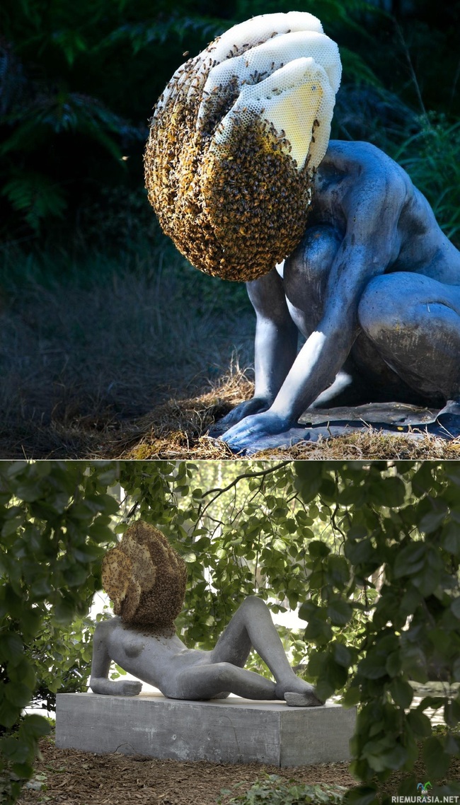 Mehiläispesät patsaissa - Uutta ilmettä taideteoksille mehiläisten toimesta