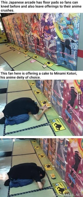 Uhrauksia anime-ihastuksille - Japanilaisessa peliluolassa voi jättää anime-ihastukselleen &quot;uhrilahjoja&quot; kuten tässä tapauksessa annetaan Minami Kotorille kakkua lahjaksi