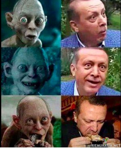 Erdogan ja Klonkku - Ja tämän meemin takia meinaa Turkissa joutua virkamies kahdeksi vuodeksi linnaan. http://www.hs.fi/ulkomaat/a1449113449608