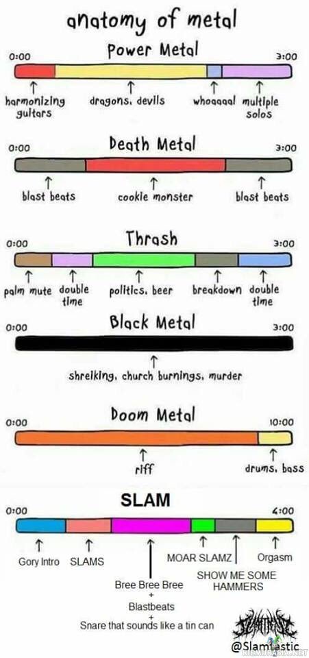 Anatomy of metal