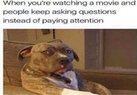 Kun yrität katsoa elokuvaa