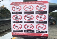 Lintujen ruokkiminen kielletty