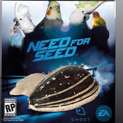 Need for seed
