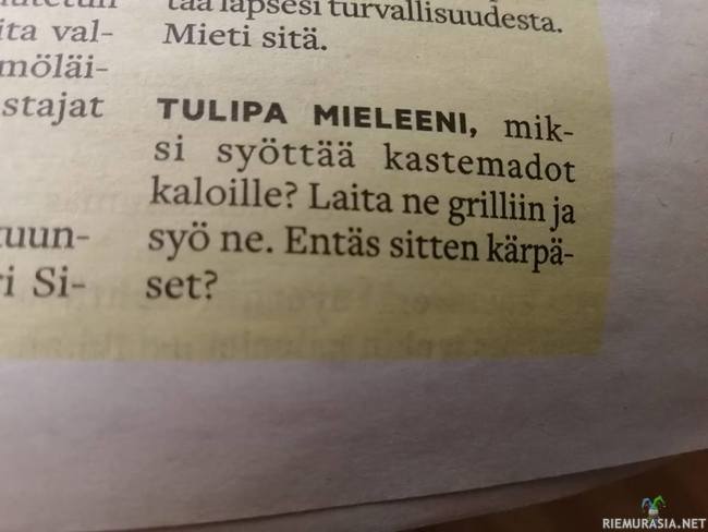 Kastematoja grilliin? - Koska sirkkaleipä on niin nähty juttu jo