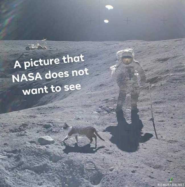 Mitä NASA ei halua sinun näkevän