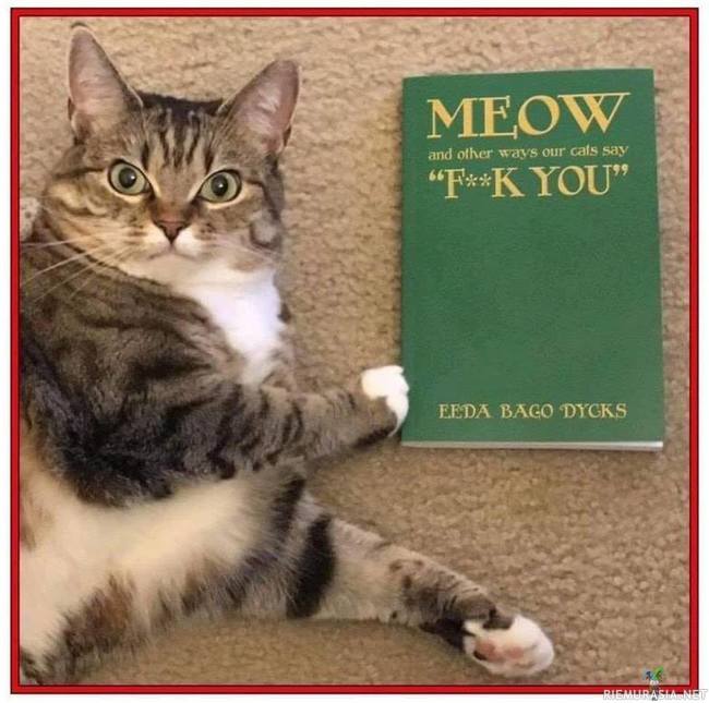 Meow - Ja muita asioita mitä kissat sanovat