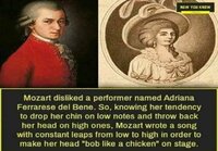 Mozart, senkin trolli