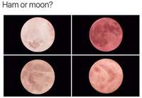 Kinkku vai kuu?