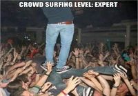 Yleisö surfausta