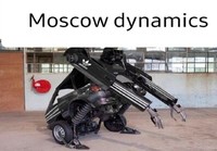Moskovan dynamiikka 