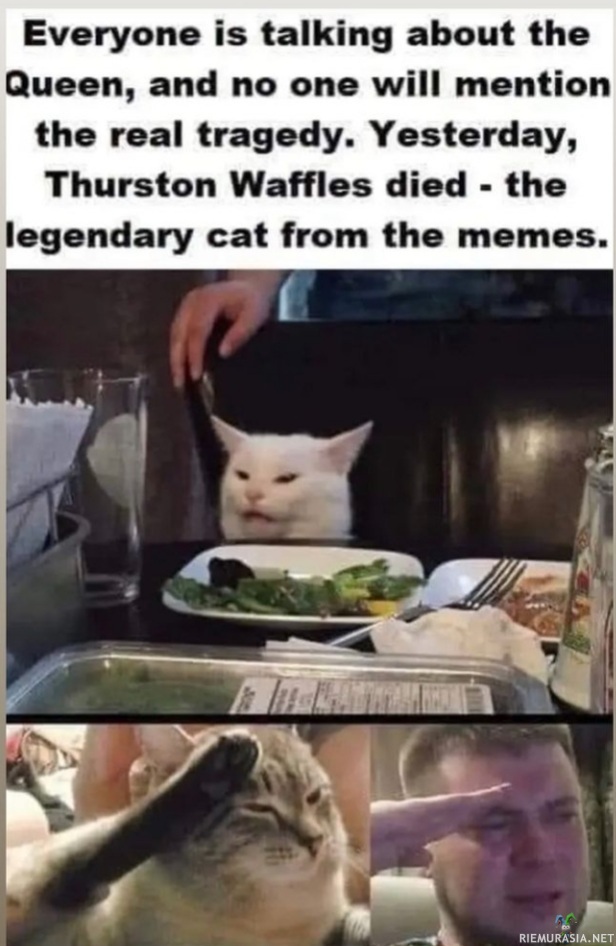Thurston Waffles