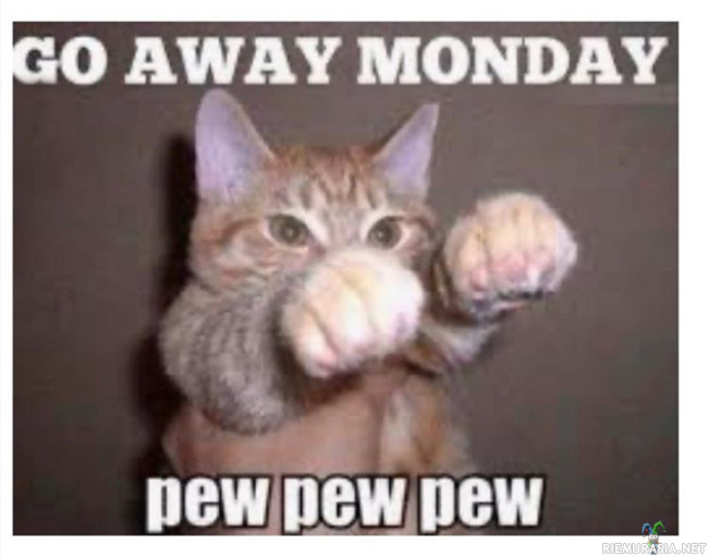 Maanantai  - Pew pew