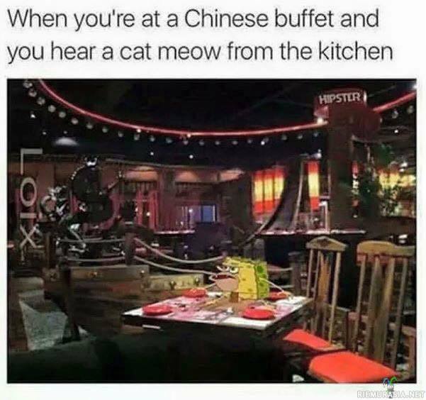 Kun olet syömässä kiinalaista buffetissa - Ja kissan maukumista kuuluu keittiöstä