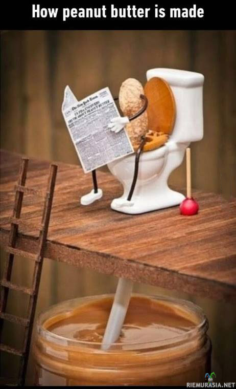 Kuinka pähkinävoi valmistuu