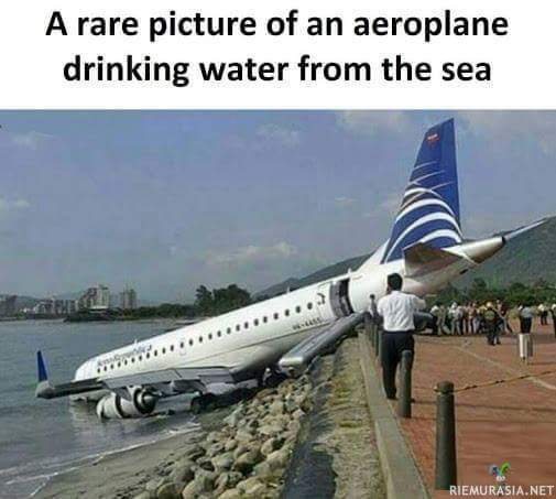 Harvinainen kuva - Lentokone juomassa vettä