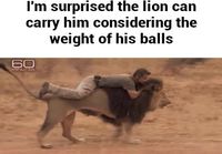 Leijona kantaa miestä