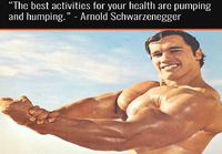 Kyllä Arnold tietää mitkä on parhaimmat aktiviteetit kehollesi