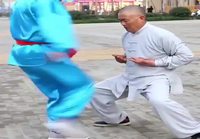 Kassien kurittamista Kung Fu tyyliin