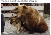 Älä koske koiraan