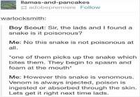 Onko tämä käärme myrkyllinen?