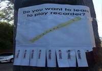 Haluatko oppia soittamaan nokkahuilua?