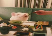 Possun sushihetki
