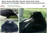 Karhu söi kaiken ruoan