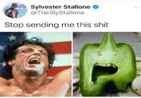 Stallone Twitterissä