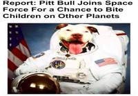 Pitbull liittyi avaruusjoukkoihin