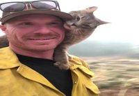 Maastopalosta pelastettu kissa kiittää palomiestä