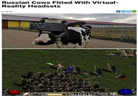 Lehmille virtuaalilaseja