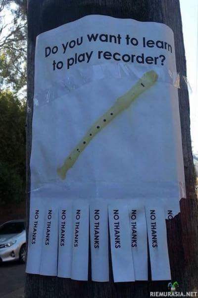 Haluatko oppia soittamaan nokkahuilua?