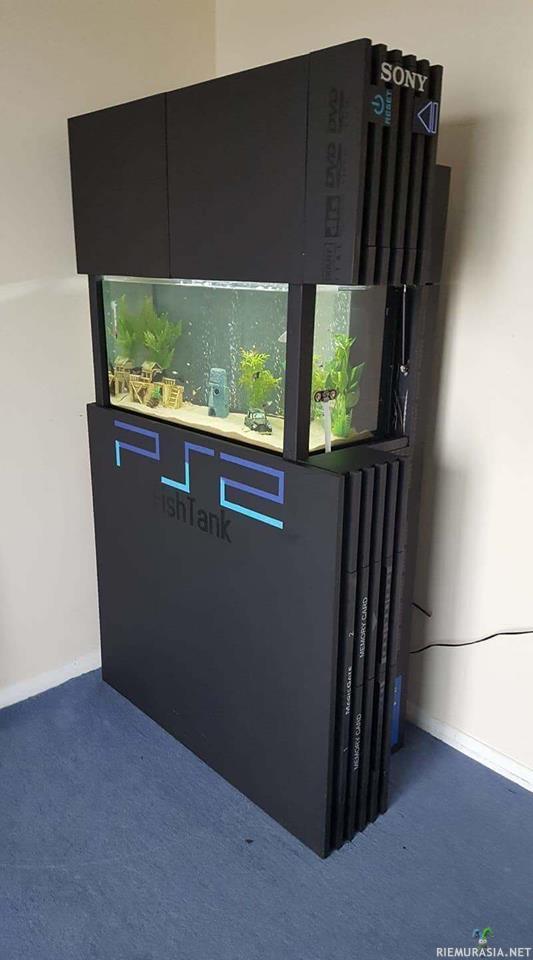 PS2 akvaario - Parantuisikohan kultakalojen muisti yhtään muistikorttien avulla?